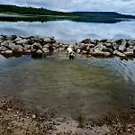 Barrierefrei, Zentral Und Hunde Willkommen Hohe Gaeste * Naumburg (Saale)
