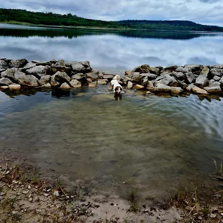 Barrierefrei, Zentral Und Hunde Willkommen Hohe Gaeste * 萨勒河畔瑙姆堡