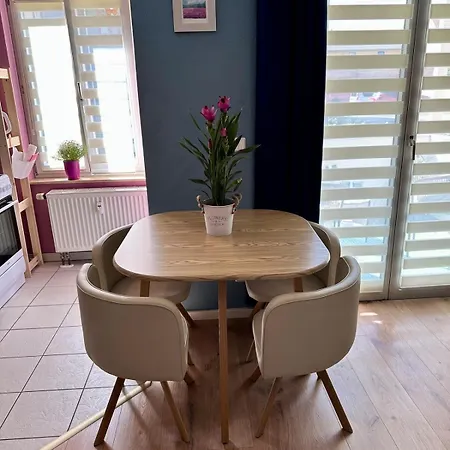 Barrierefrei, Zentral Und Hunde Willkommen Hohe Gaeste Naumburg (Saale)