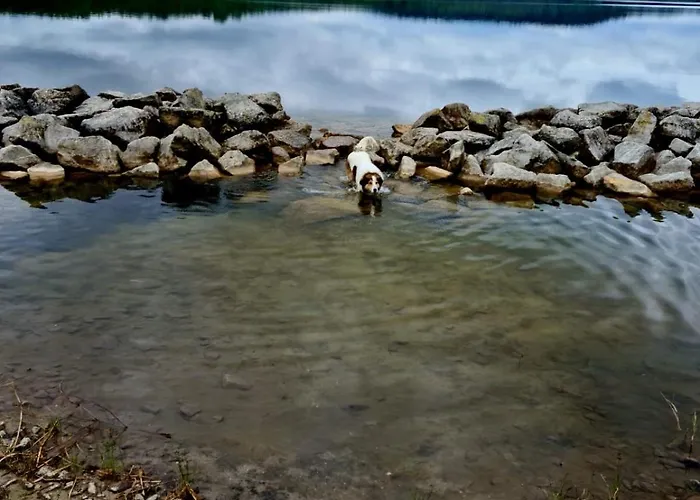 Barrierefrei, Zentral Und Hunde Willkommen Hohe Gaeste * Naumbourg
