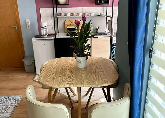 Appartement Barrierefrei, Zentral Und Hunde Willkommen Hohe Gaeste *