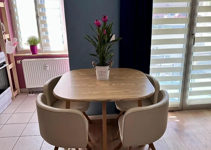 Barrierefrei, Zentral Und Hunde Willkommen Hohe Gaeste Naumbourg